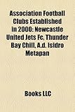 Association Football Clubs Established in 2000: Newcastle United Jets FC, Thunder Bay Chill, A.D. Isidro Metapan-
