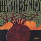 Beet by Eleventh Dream Day