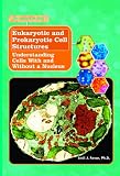 Eukaryotic And Prokaryotic Cell Structures: Understanding Cells With And Without A Nucleus (The Library of Cells)
