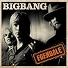 Bild des Albums von Big Bang