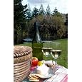 Save on Summer Picnic 2 - 24"H x 16"W - Peel and Stick Wall Decal by Wallmonkeys