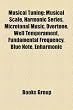 Musical Tuning: Musical Scale, Harmonic Series, Microtonal Music, Overtone, Well Temperament, Fundamental Frequency, Blue Note, Enharm