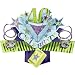 Second Nature Pop Up Greeting Card for 40th Birthday Card