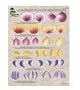 3pc Worksheet Pack 8-1/2 X12 -Basic Strokework