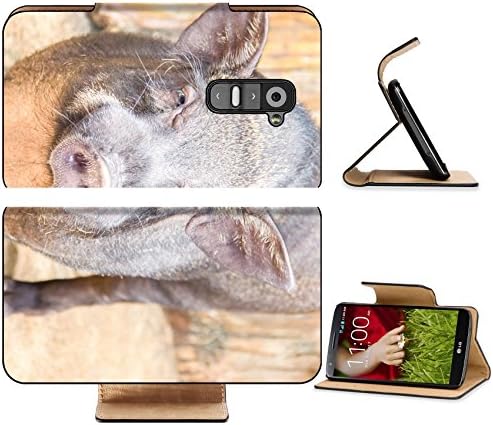 LG G2 Flip Case Cute face of boar in the farm 37144581 by MSD Customized Premium Deluxe Pu Leather generation Accessories HD Wifi 16gb 32gb Luxury Protector Case