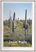 Relaxation Music: Desert Plants