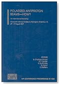 Polarized Antiproton Beams - How?: An International Workshop (AIP Conference Proceedings)