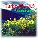 Turbo C++ 4.5 Learning Training Course