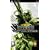 SOCOM: U.S. Navy SEALs Tactical Strike (PSP)