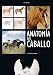 Anatomía del caballo