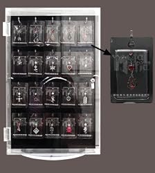 PLEXIGLASS HOOK DISPLAY