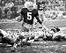 Paul Hornung Green Bay Packers 8x10 Photo
