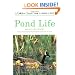 Pond Life: Revised and Updated (Golden Guide)
