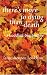 There's More to Dying than Death: A Buddhist Perspective by Lama Shenpen Hookham