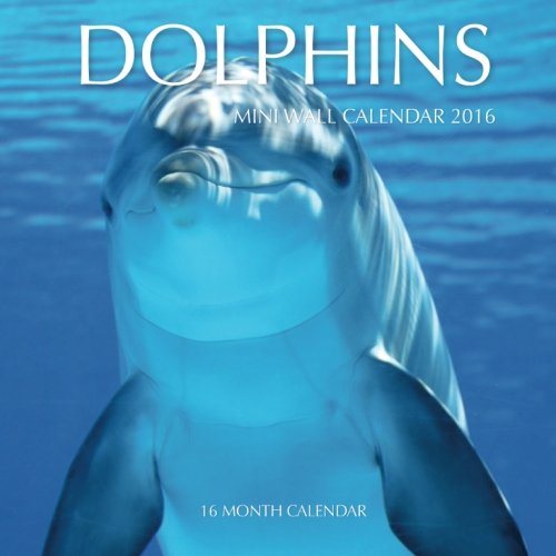 Dolphins Mini Wall Calendar 2016: 16 Month Calendar