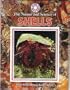The Nature and Science of Shells (Exploring the Science of Nature)