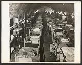 Air raid shelter,bunk beds,Rock shelters,Malta,1942