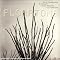 find easy listening avant-garde (classical, jazz)