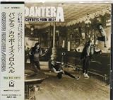 Cowboys From Hell