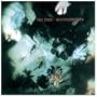 Disintegration