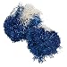 Dallas Cowboys Cheerleaders Deluxe Shakers - Accessories & Makeup