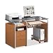 Clear Glass Computer Desk with Storage
