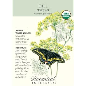 Dill Bouquet Certified Organic Heriloom Seeds 600 Seeds