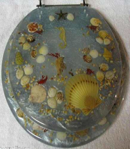 ELONGATED BLUE SEASHELL