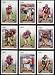 2006 Score San Francisco 49ers Football Card Complete Set of 13 Cards including Alex Smith plus rookie cards of Delanie Walker, Brandon Moore, Michael Robinson, Ben Emanuel, Mike Adams, Brandon Williams, Vernon Davis,and Manny Lawson.