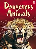 Dangerous Animals (Usborne Beginners)