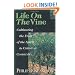 Life on the Vine: Cultivating the Fruit of the Spirit