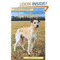 Pet Owner's Guide to the Lurcher