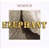 Best of Elephant