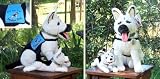 Stuffed Rin Tin Tin