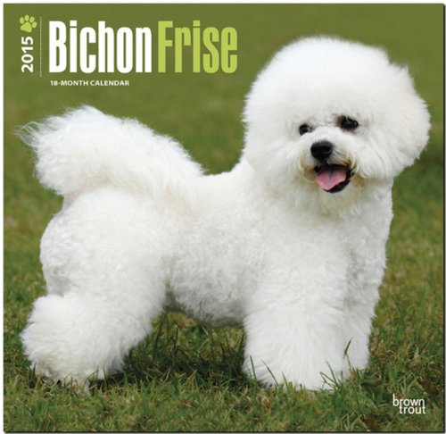 Bichon Frise 2015 Square 12x12 (Multilingual Edition)