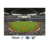MLB Toronto Blue Jays Inside Rogers Centre Mural Wall Graphic