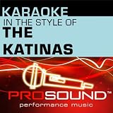 Karaoke - In the Style of The Katinas - EP (Professional Performance Tracks)
