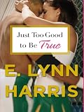 Just Too Good to Be True: A Novel