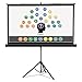 QRT85567 - Quartet Projection Screen - 91.8-16:9 - Surface Mount
