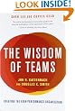 The Wisdom of Teams: Creating the High-Performance Organization