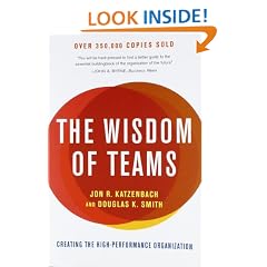 The Wisdom Of Teams: Creating the High-Performance Organization
