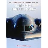 b 2a spirit units in combat combat aircraft