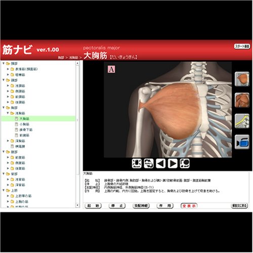 Cover image : CGで見る筋肉図典 筋ナビ1.0 資格試験対策用クイズ付