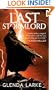 The Last Stormlord