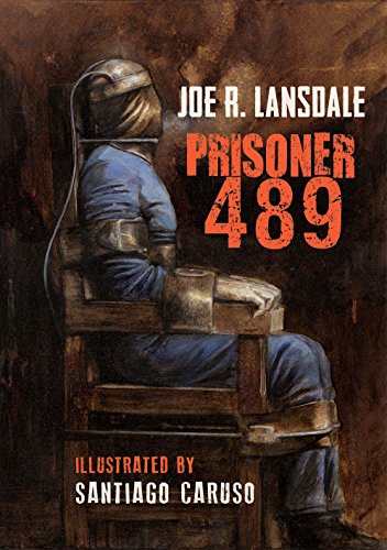 Prisoner 489 (Black Labyrinth Book 2)