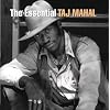 The Essential Taj Mahal