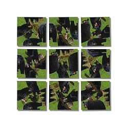 Scramble Squares: Black Bears