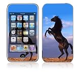 Animal Mustang Horse Design Skin Decal Sticker for Apple iPod Touch 2G (2nd Gen) / 3G (3rd Gen) MP3 Player