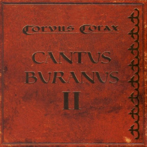 Corvus Corax Foto 3