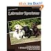Unser Traumhund: Labrador Retriever